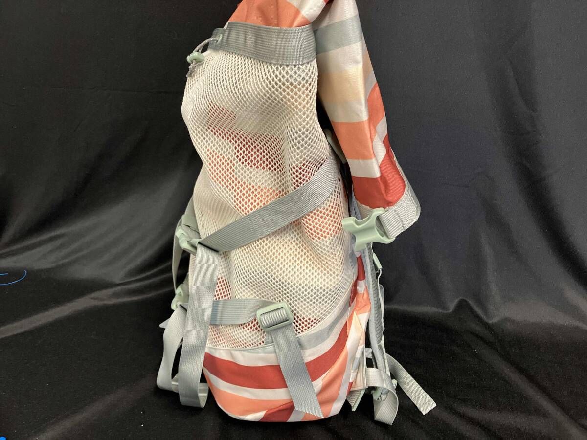 patagonia 48470SP19 Planing Roll Top Pack パタゴニア リュック ボーダー プレーニングロール