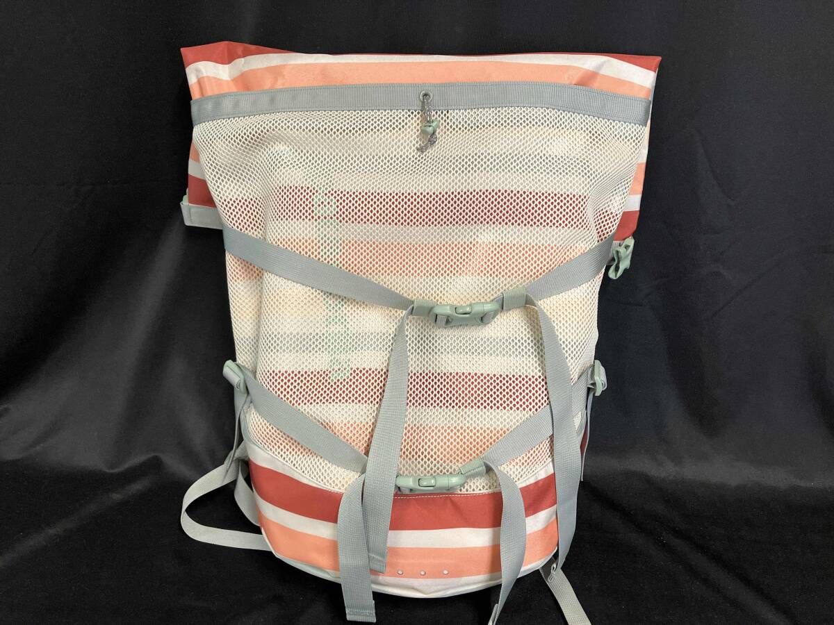 patagonia 48470SP19 Planing Roll Top Pack パタゴニア リュック ボーダー プレーニングロール