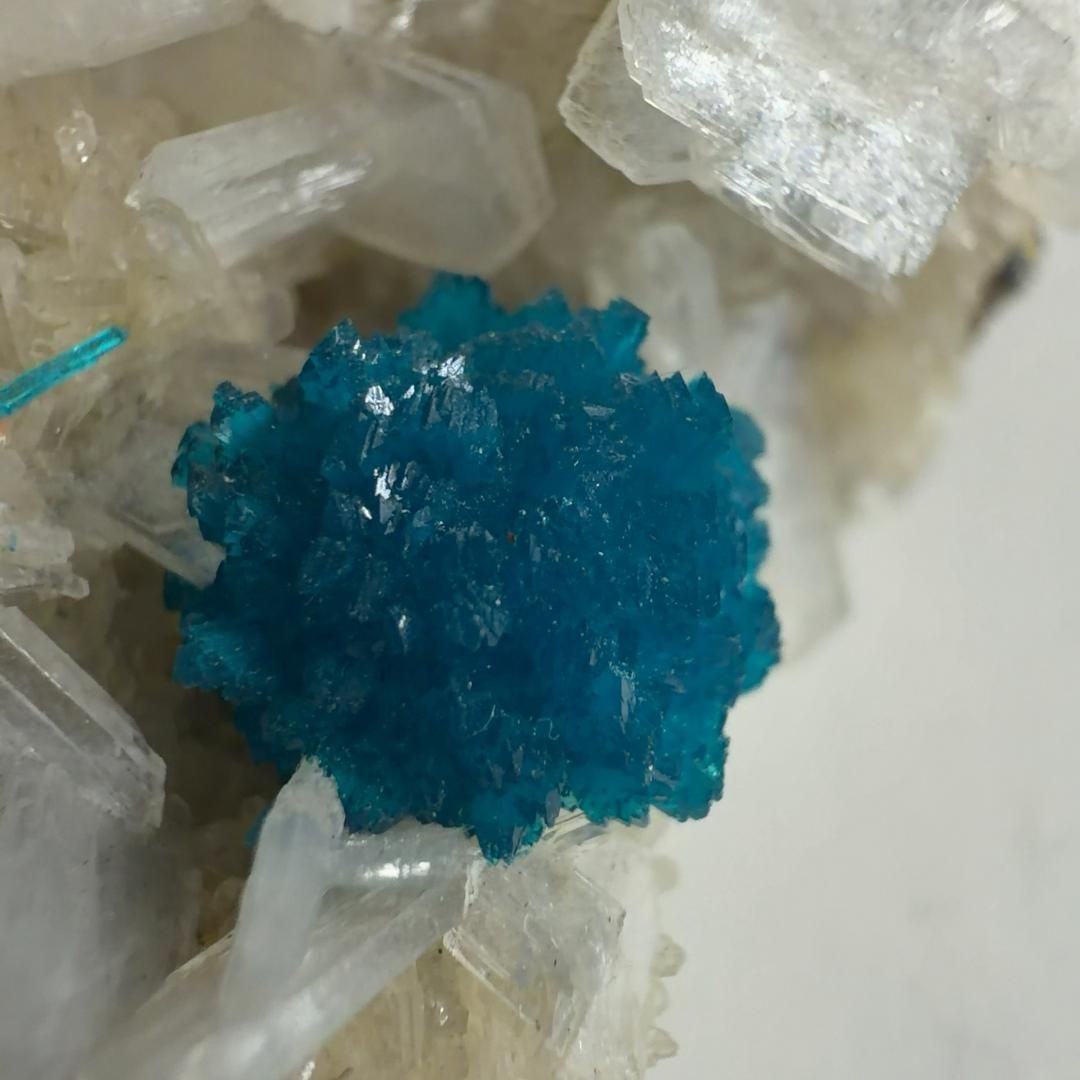 カバンシ石 カバンサイト