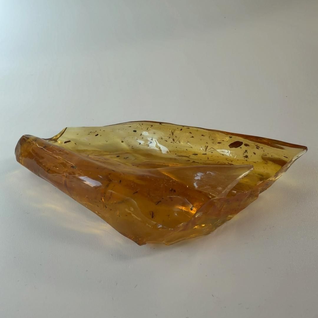 虫入りコパルアンバー コパル