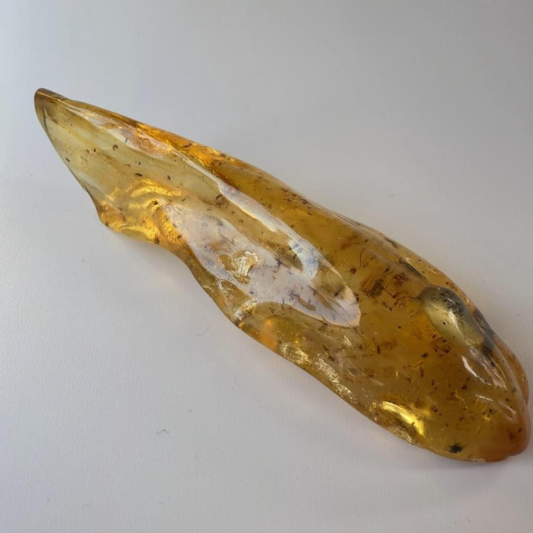 E31880 虫入りコパルアンバー コパル 化石 ヤングアンバー