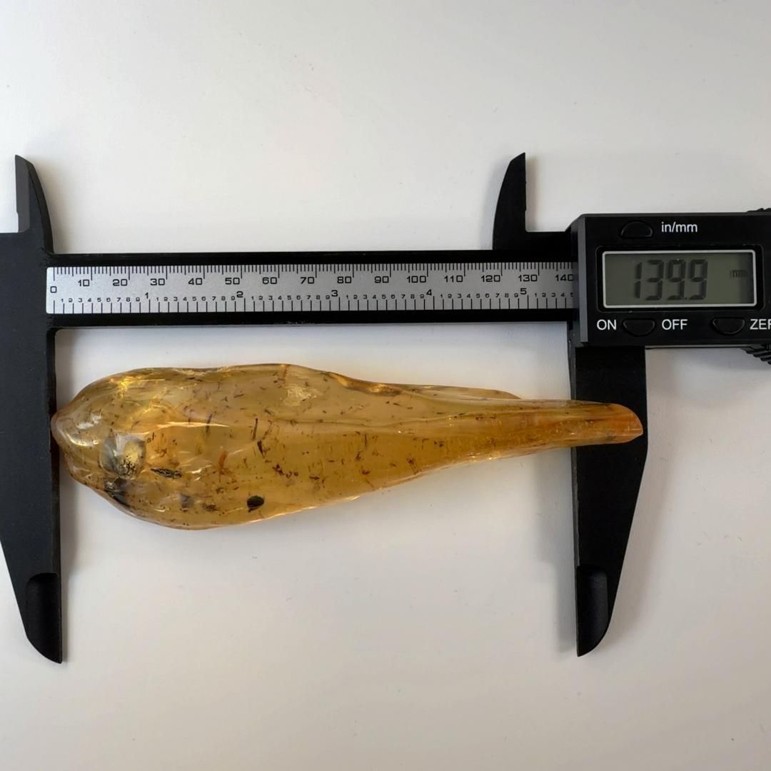 虫入りコパルアンバー