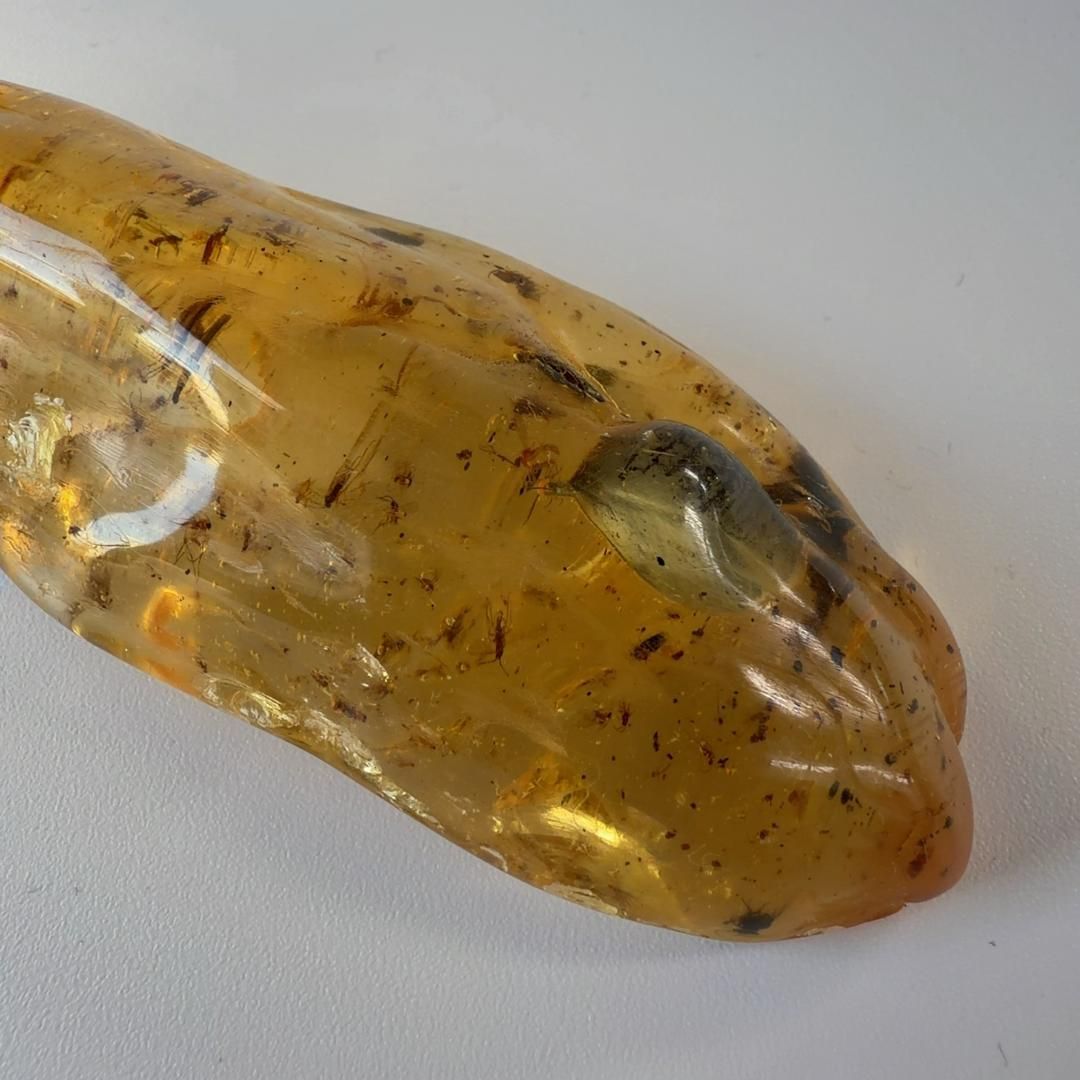 化石 ヤングアンバー