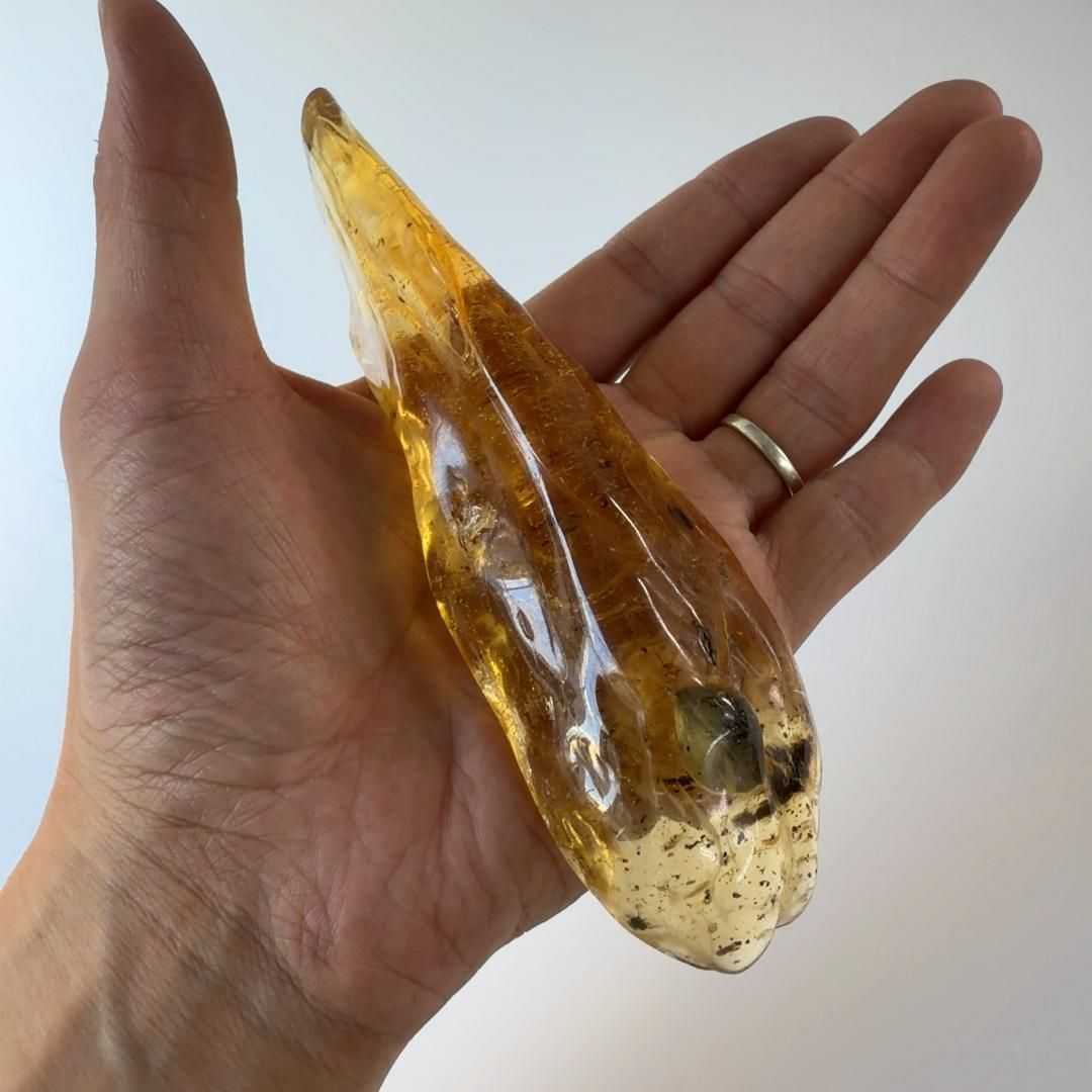 虫入りコパルアンバー コパル