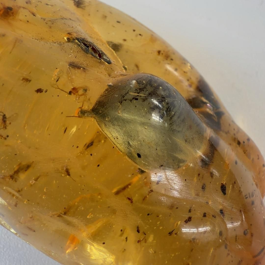虫入りコパルアンバー