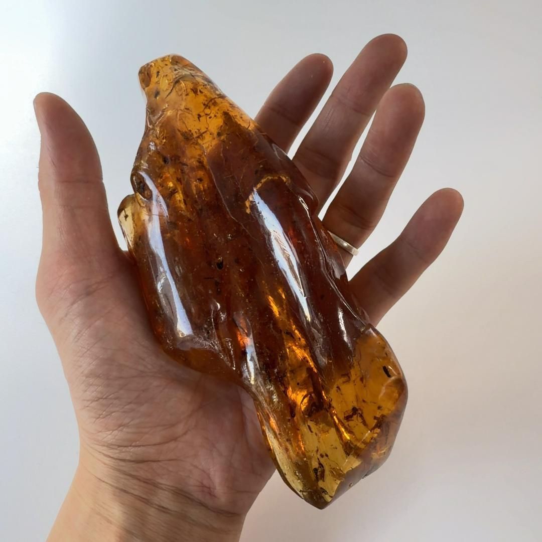 E31881 虫入りコパルアンバー コパル 化石 ヤングアンバー