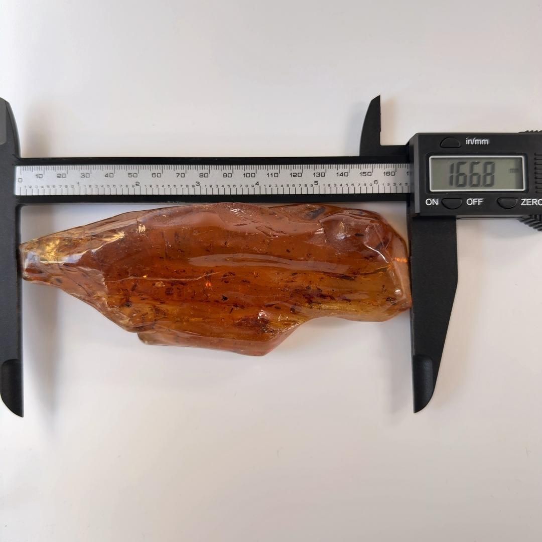 E31881 虫入りコパルアンバー コパル 化石 ヤングアンバー