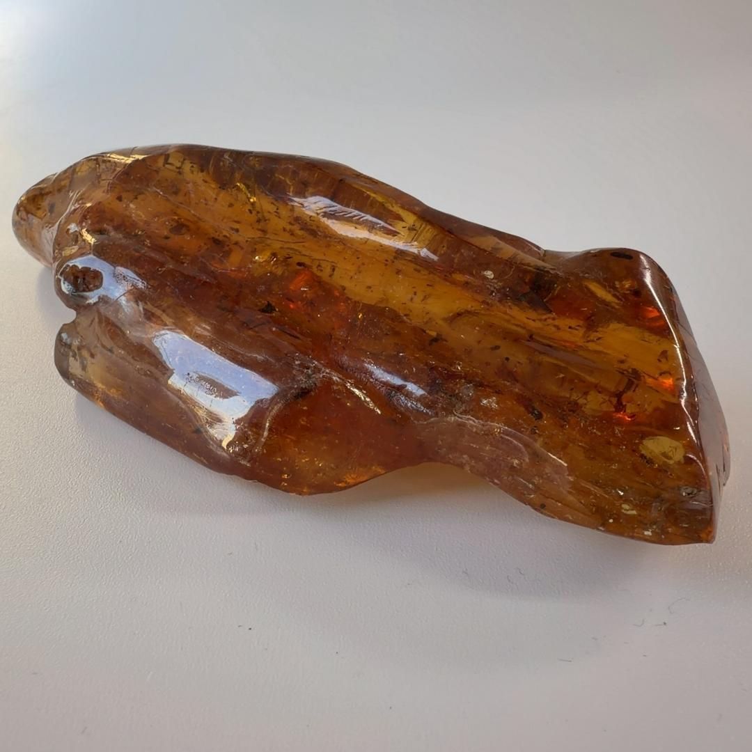 化石 ヤングアンバー