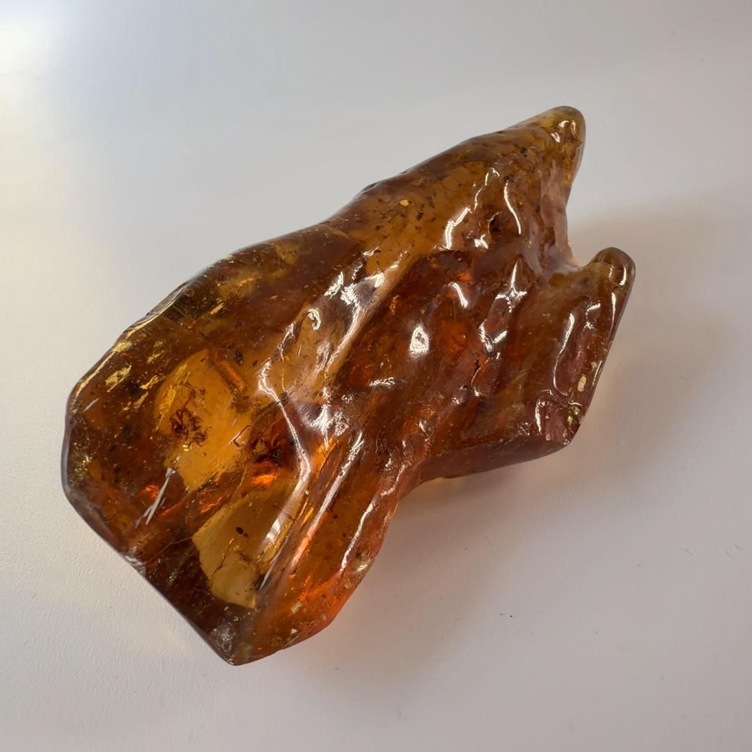 E31881 虫入りコパルアンバー コパル 化石 ヤングアンバー NEXPOTALLINN_EU
