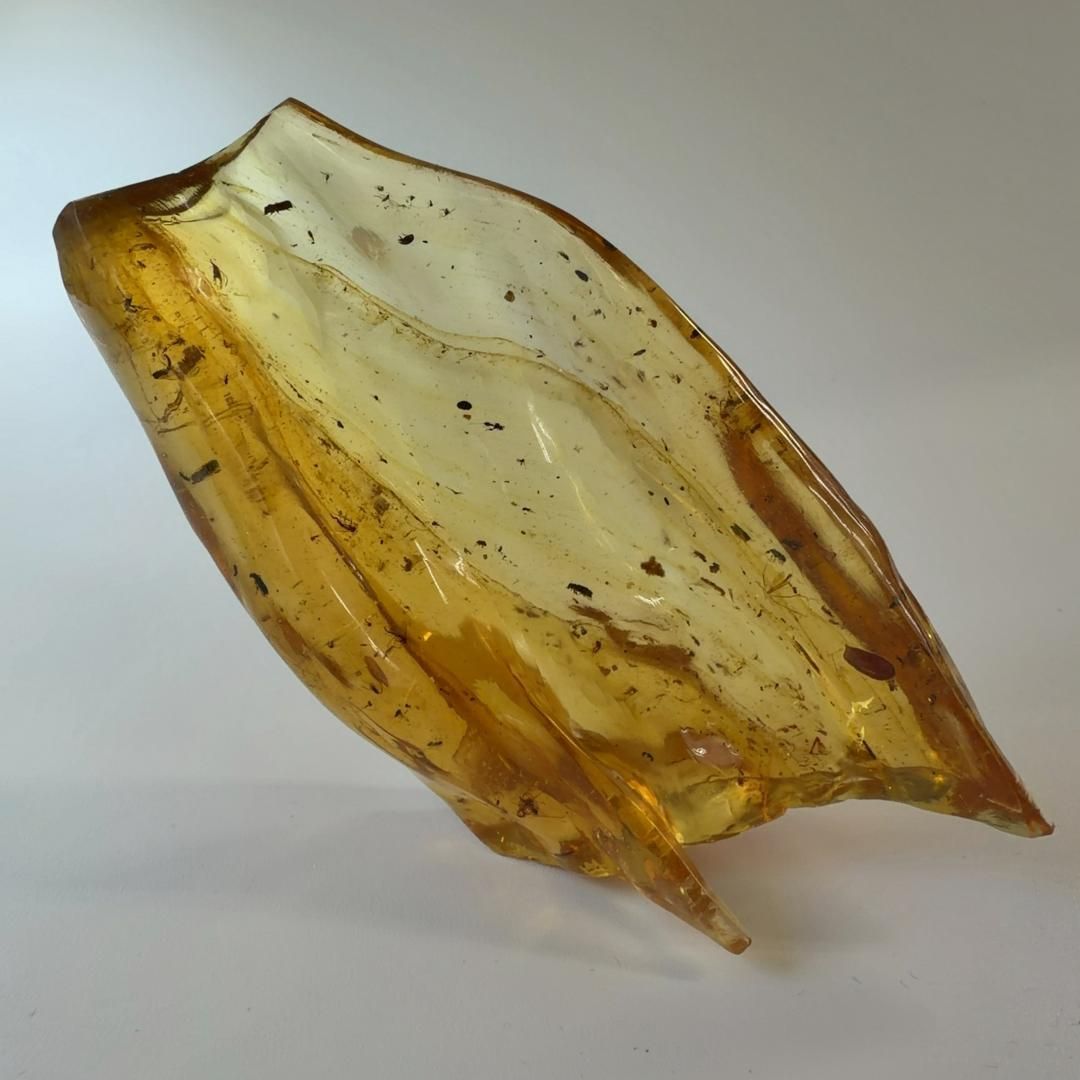 E31882 虫入りコパルアンバー コパル 化石 ヤングアンバー