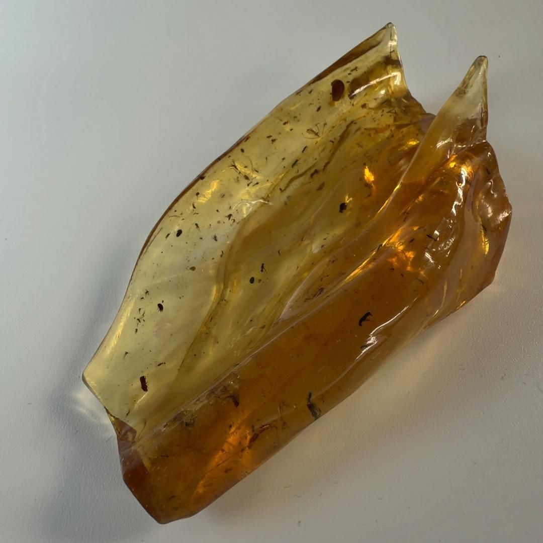 E31882 虫入りコパルアンバー コパル 化石 ヤングアンバー