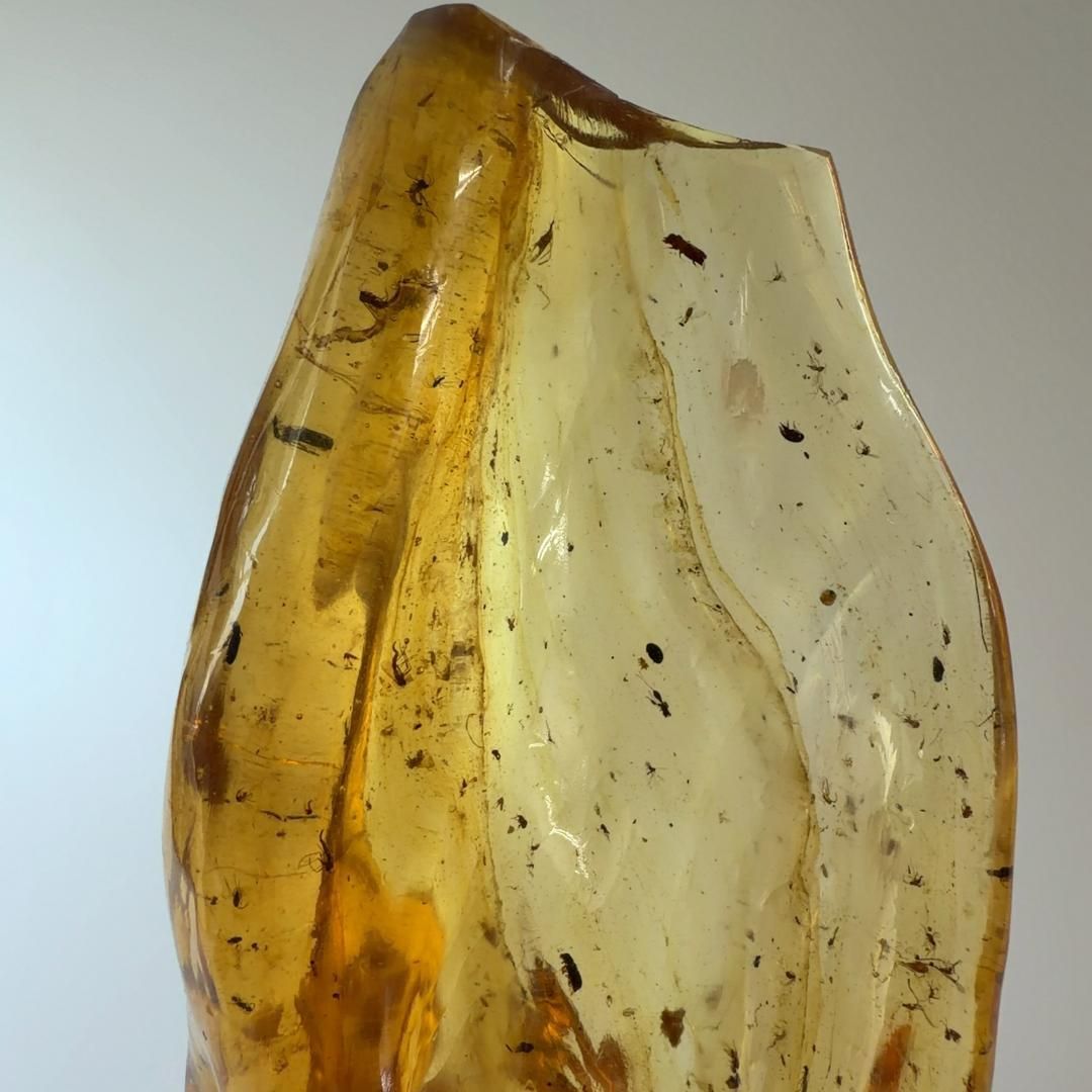 E31882 虫入りコパルアンバー コパル 化石 ヤングアンバー NEXPOTALLINN_EU