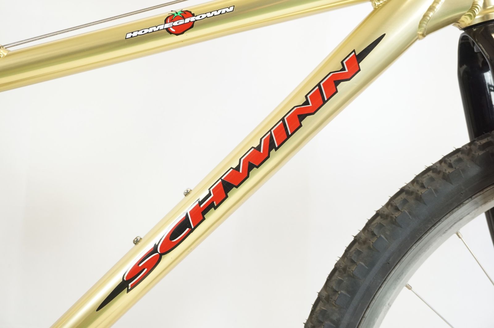 SCHWINN