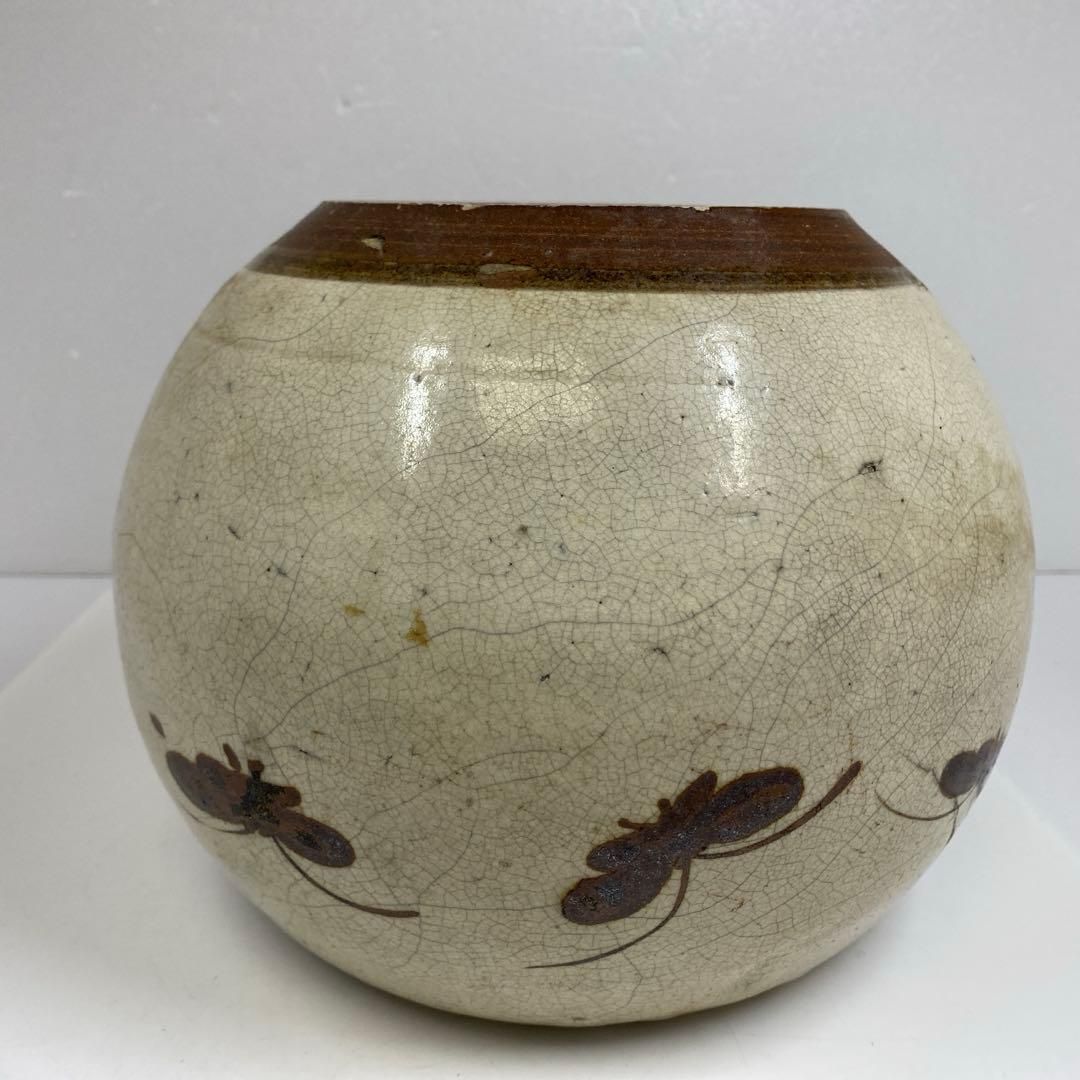 幅約23.5㎝ 東さ7-0203