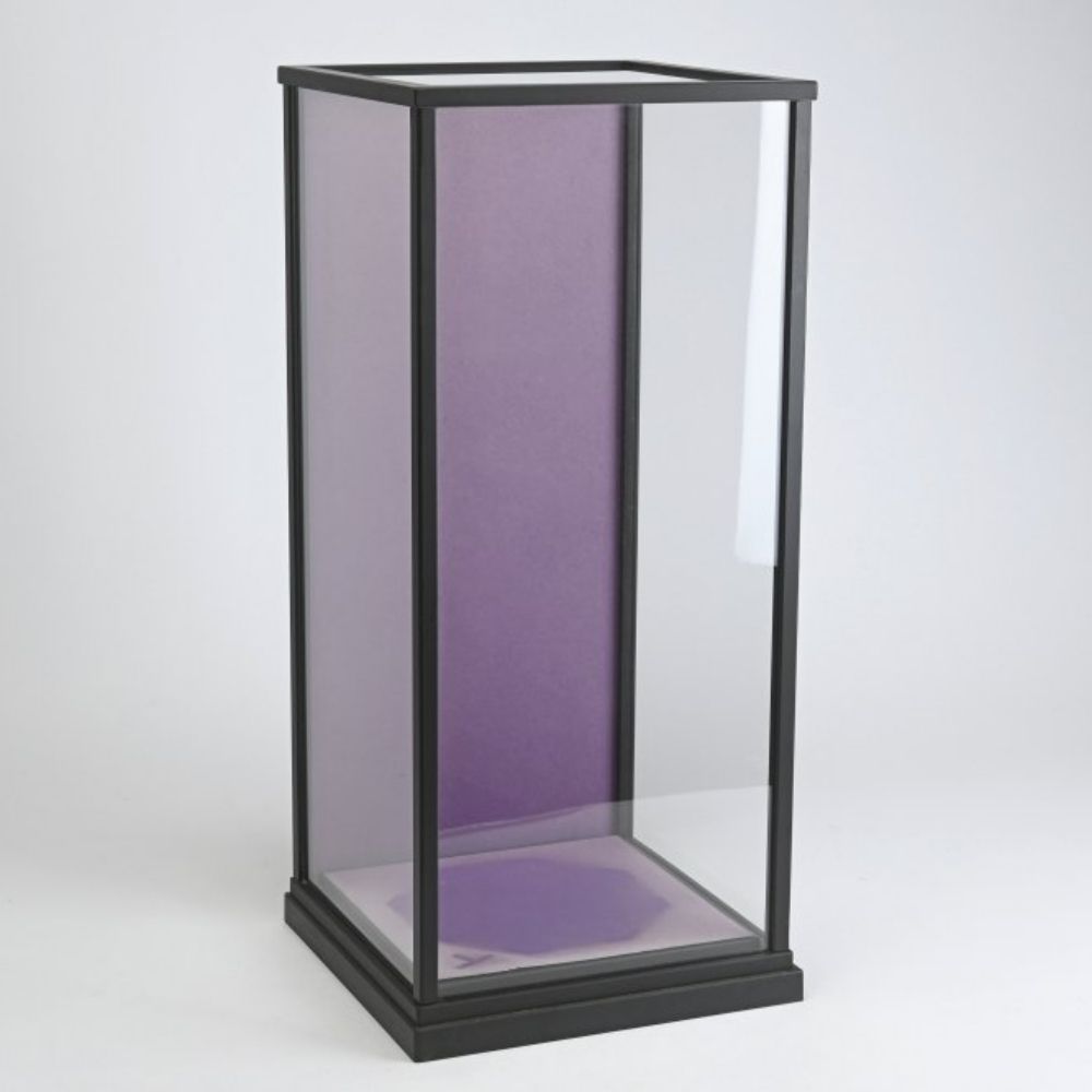 ガラスケース付