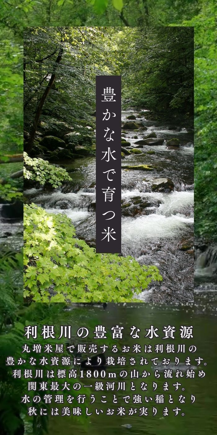 未検査米 大粒米