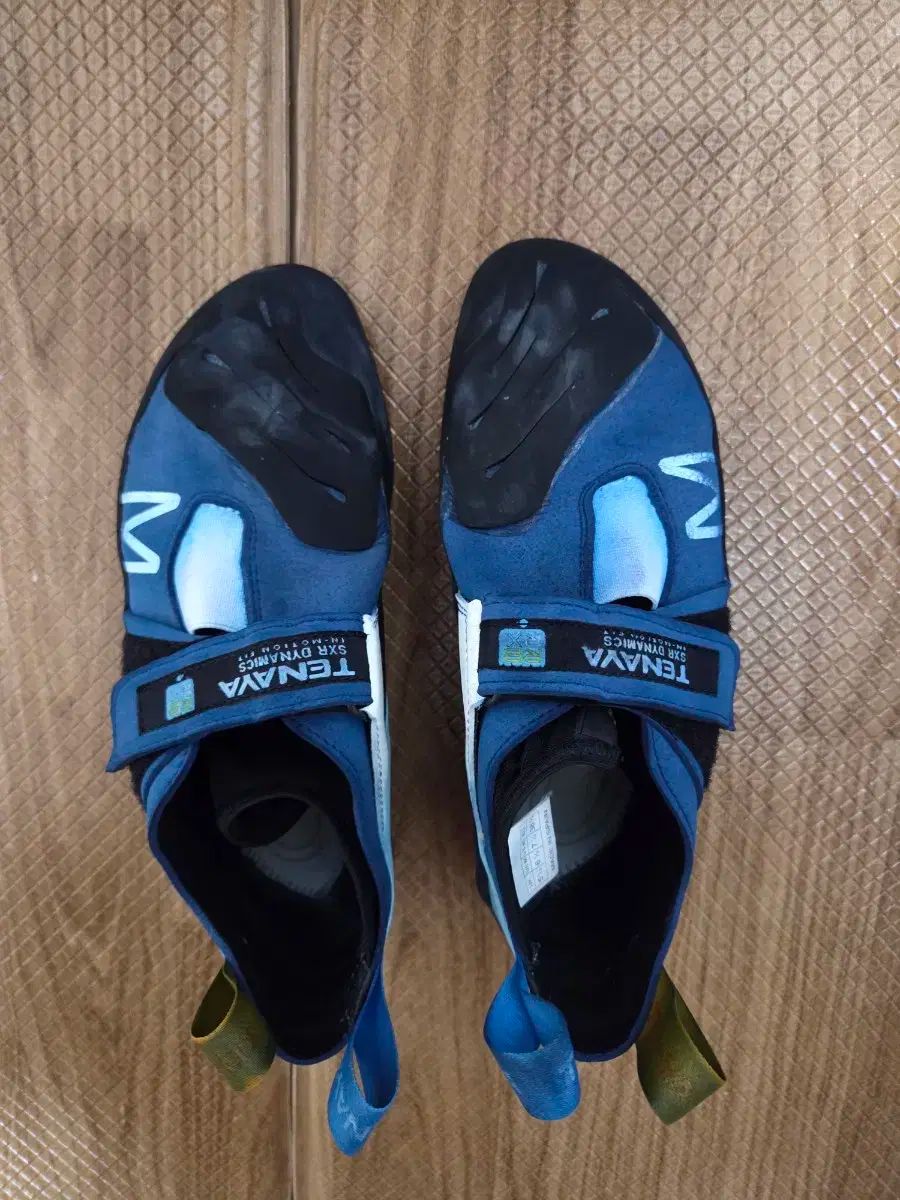 中級シューズ MASTIA