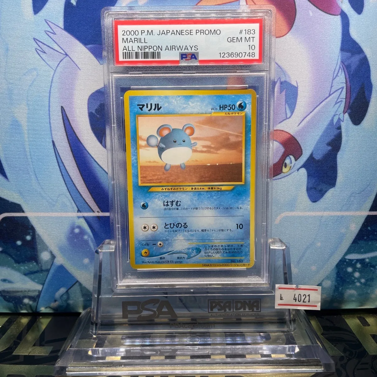 PSA10 マリル 旧裏 プロモ ANA 183 2000 PSA10 マリル 旧裏 プロモ ANA 183 2000 ポケモンカード 旧裏 ANA