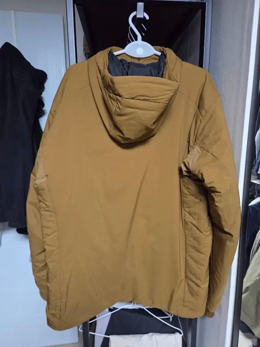 ARC TERYX アークテリクス Atom アトム AR Relic フーディー ジャケット