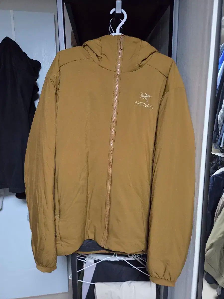 ARC TERYX アークテリクス Atom アトム AR Relic フーディー ジャケット