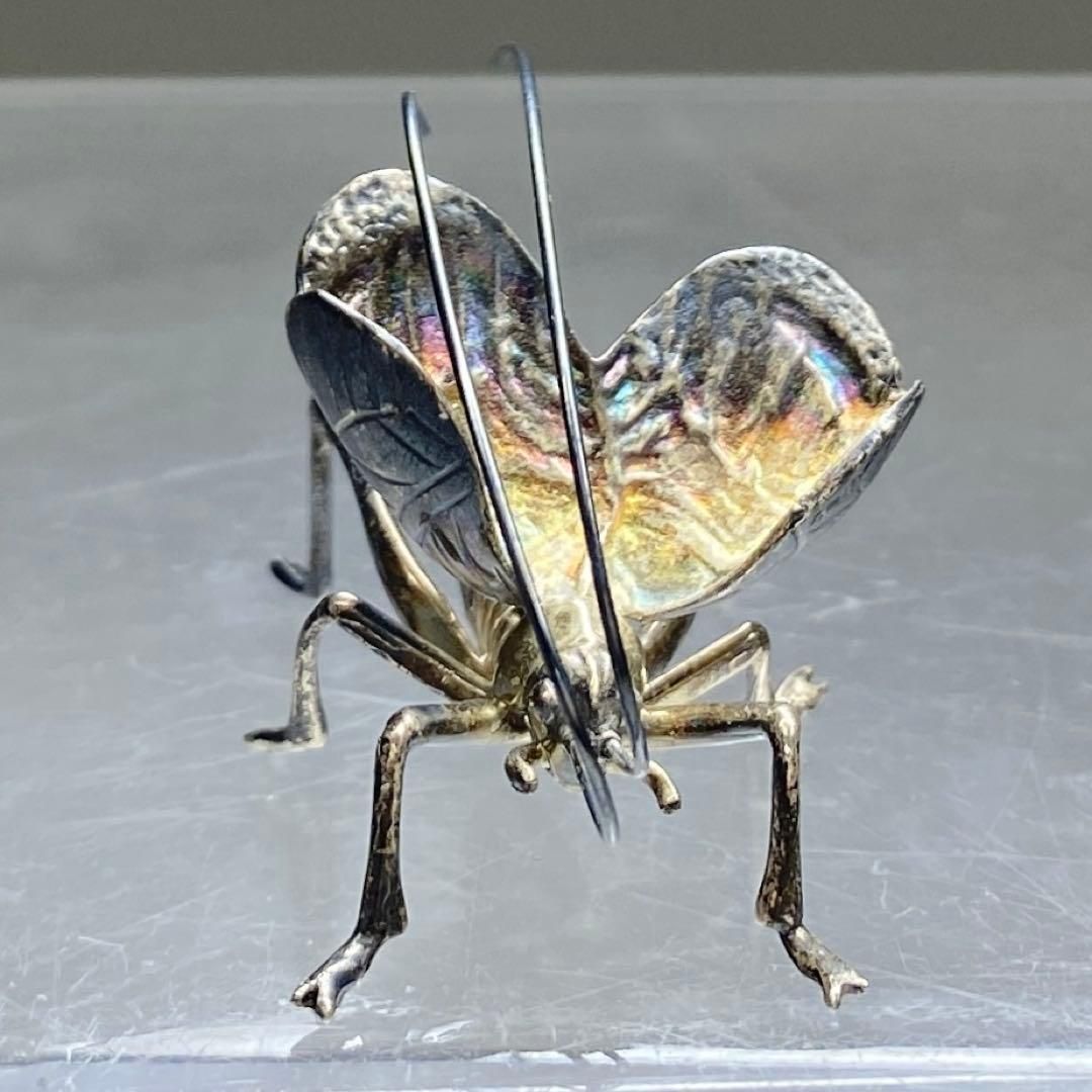 清課堂 銀製 鈴虫置物 共箱 5g 幅4.5㎝ トヒウ 東な7-0209① - メルカリ