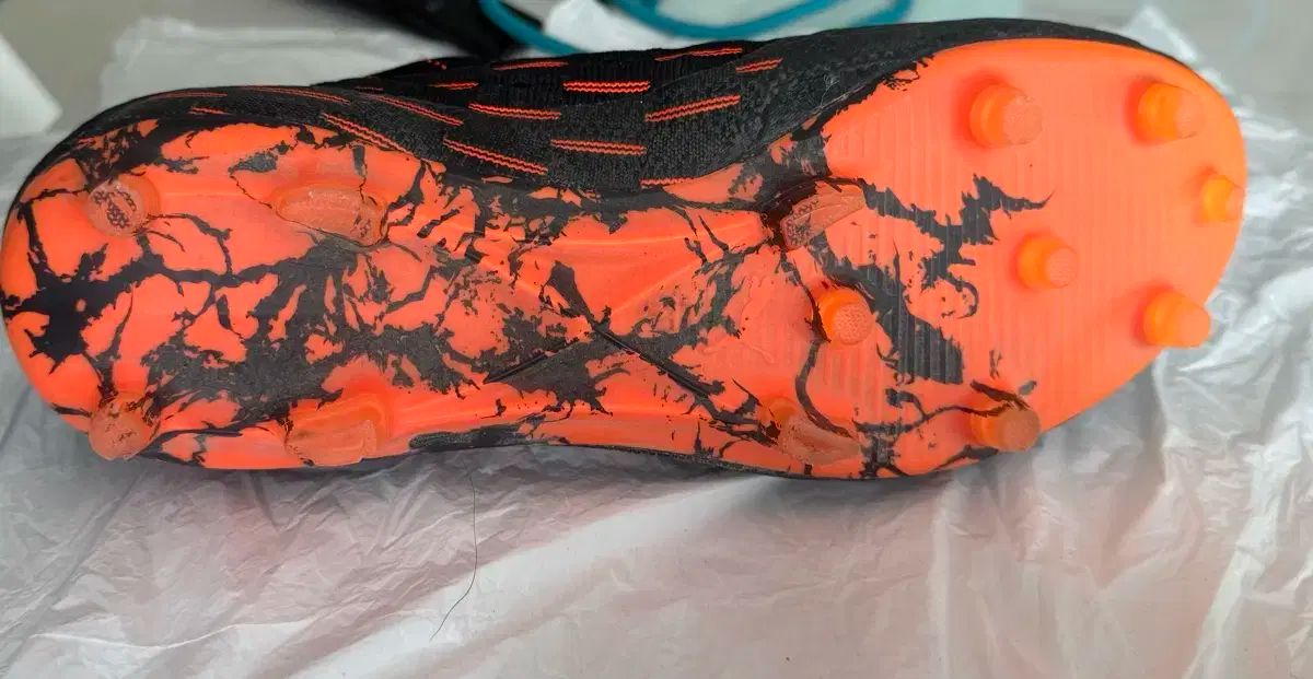 6.1 ネットフィット