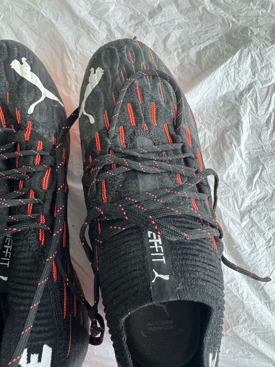 ネットフィット