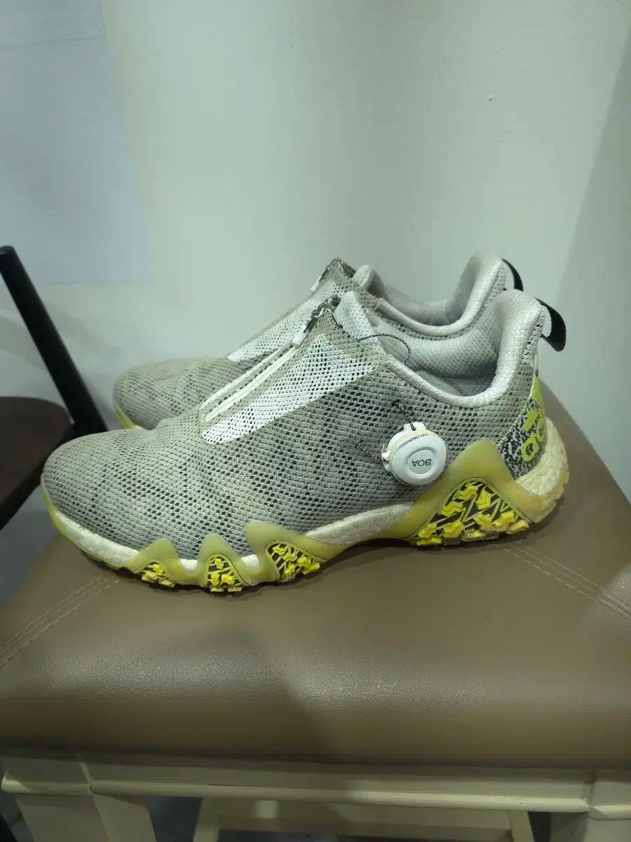 アディダス コードカオス22 ボア ゴルフシューズ 270