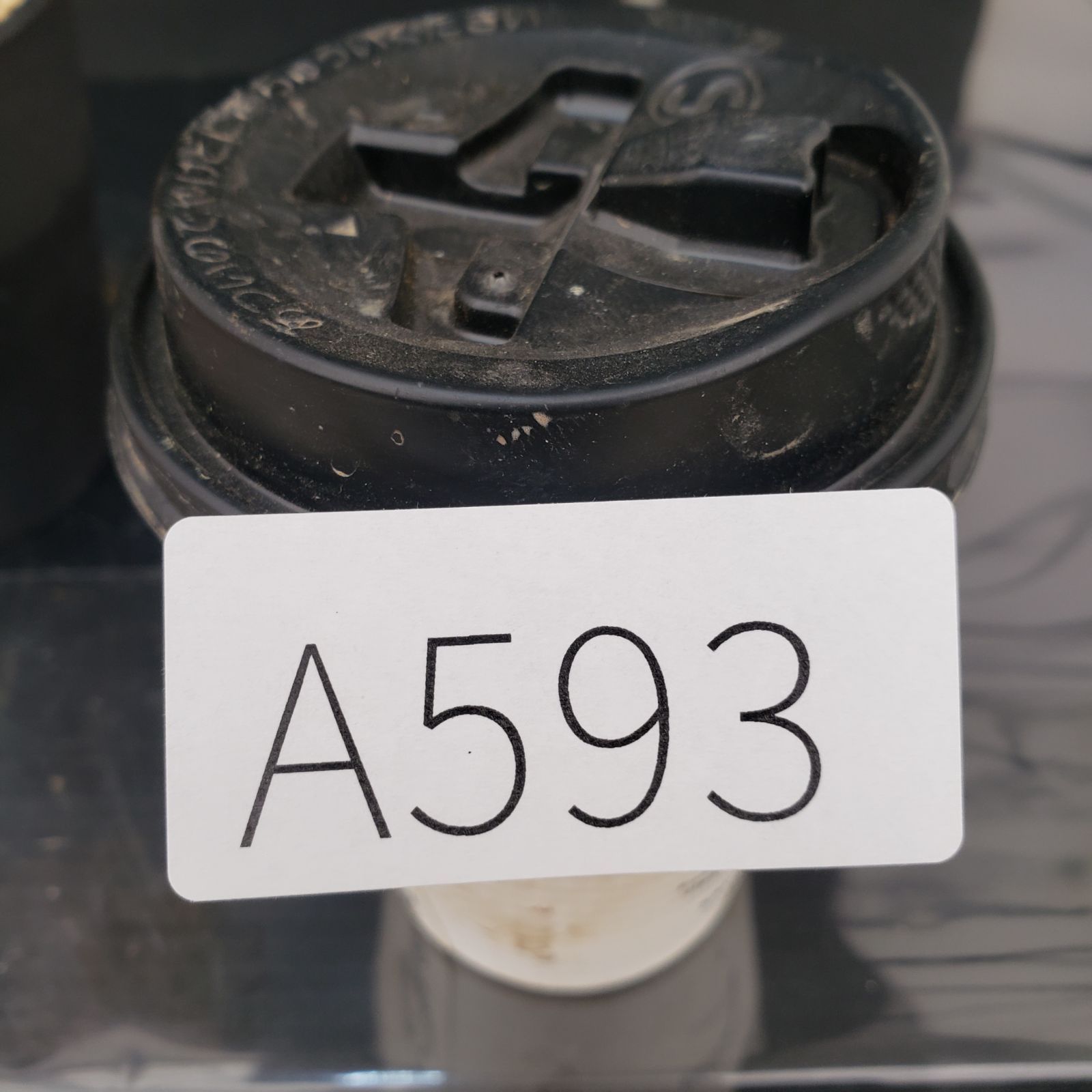 A593 自社養生株 ユーフォルビア ステリスピナ 発根株 鉢植え サボテン 多肉植物 WWW_GEBZETESISAT_COM_TR