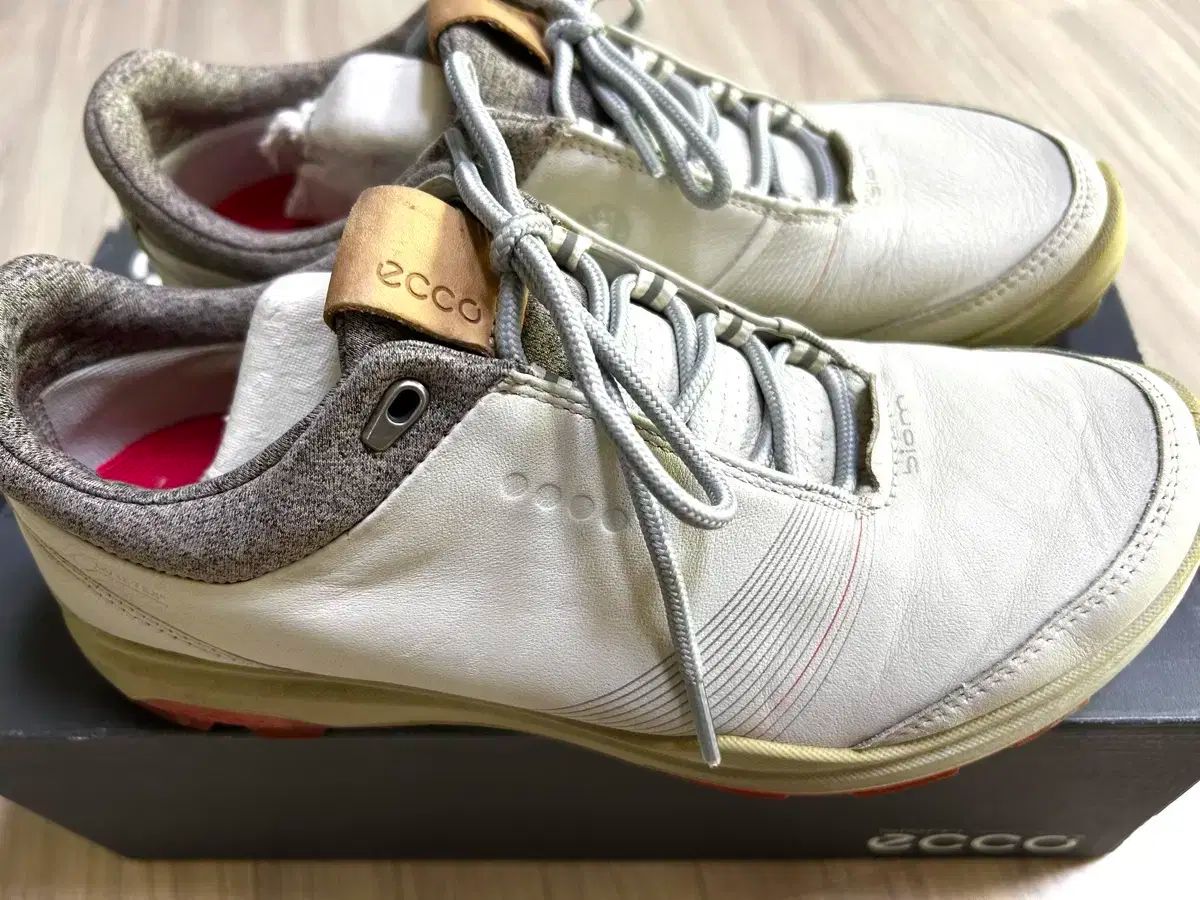 レディース ゴルフシューズ