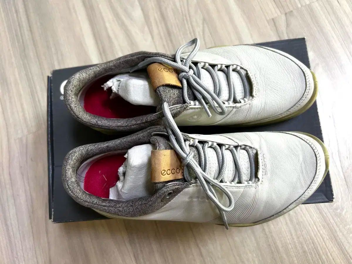 Ecco レディース ゴルフシューズ 37