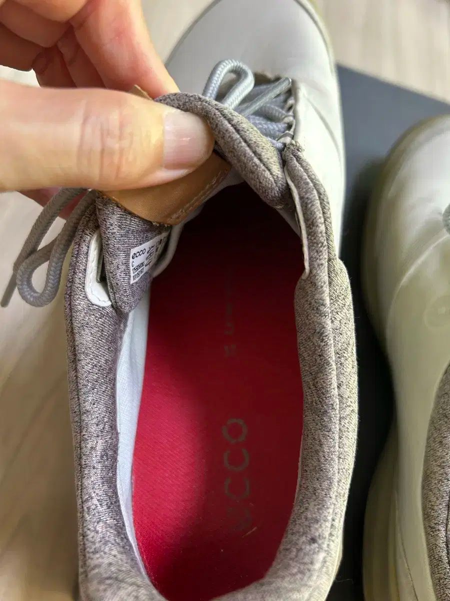 ゴルフシューズ 37