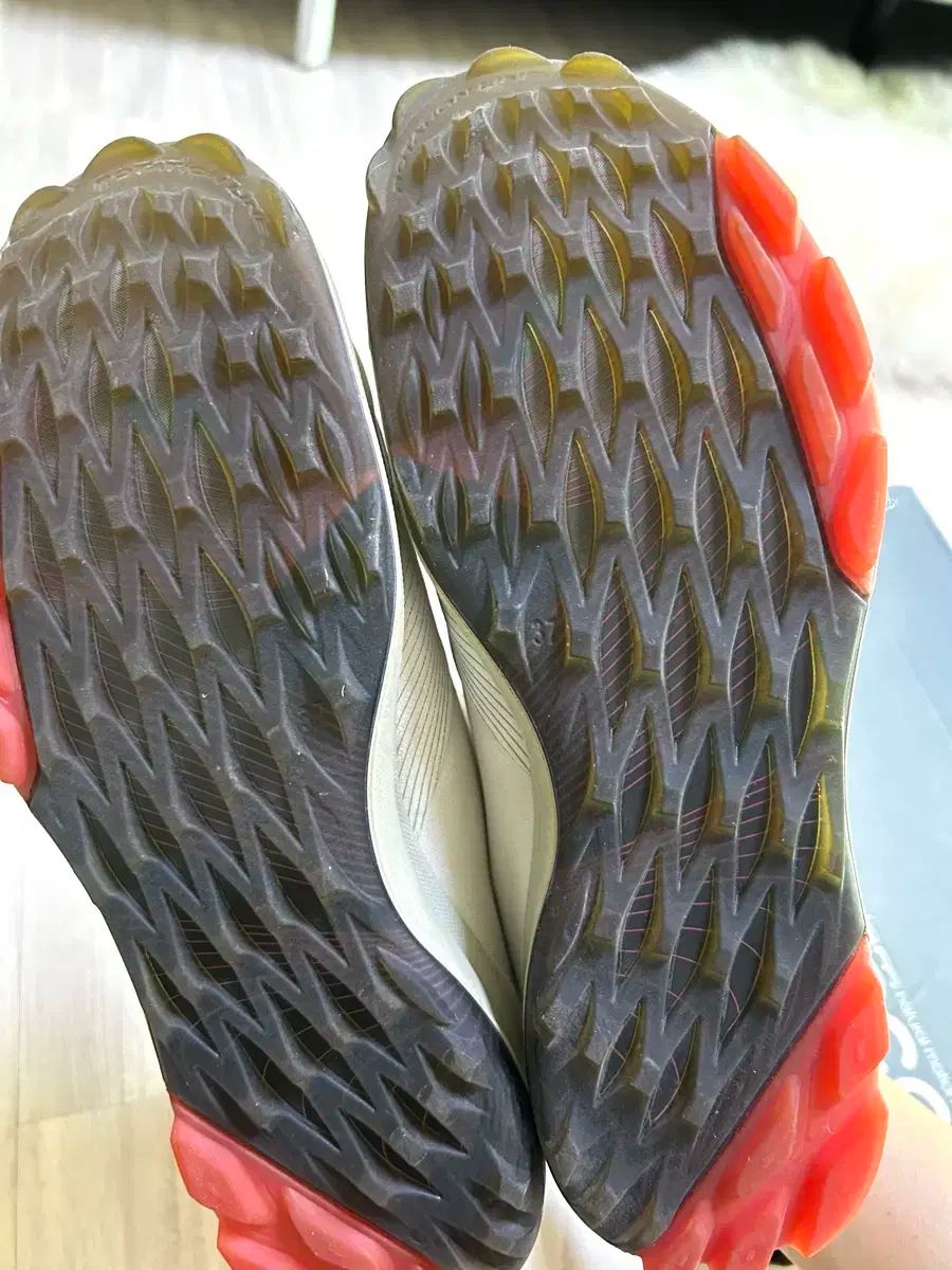 Ecco レディース