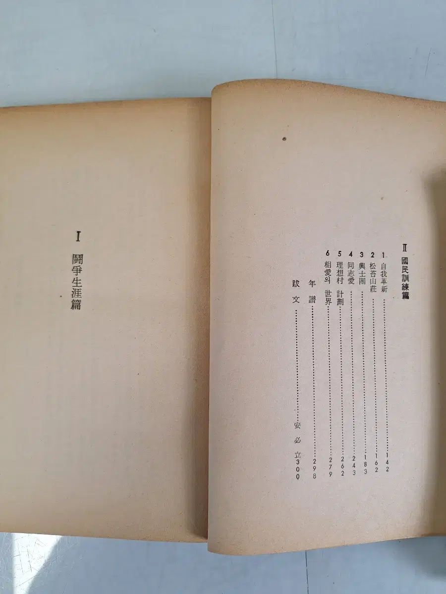 グァンスのアン