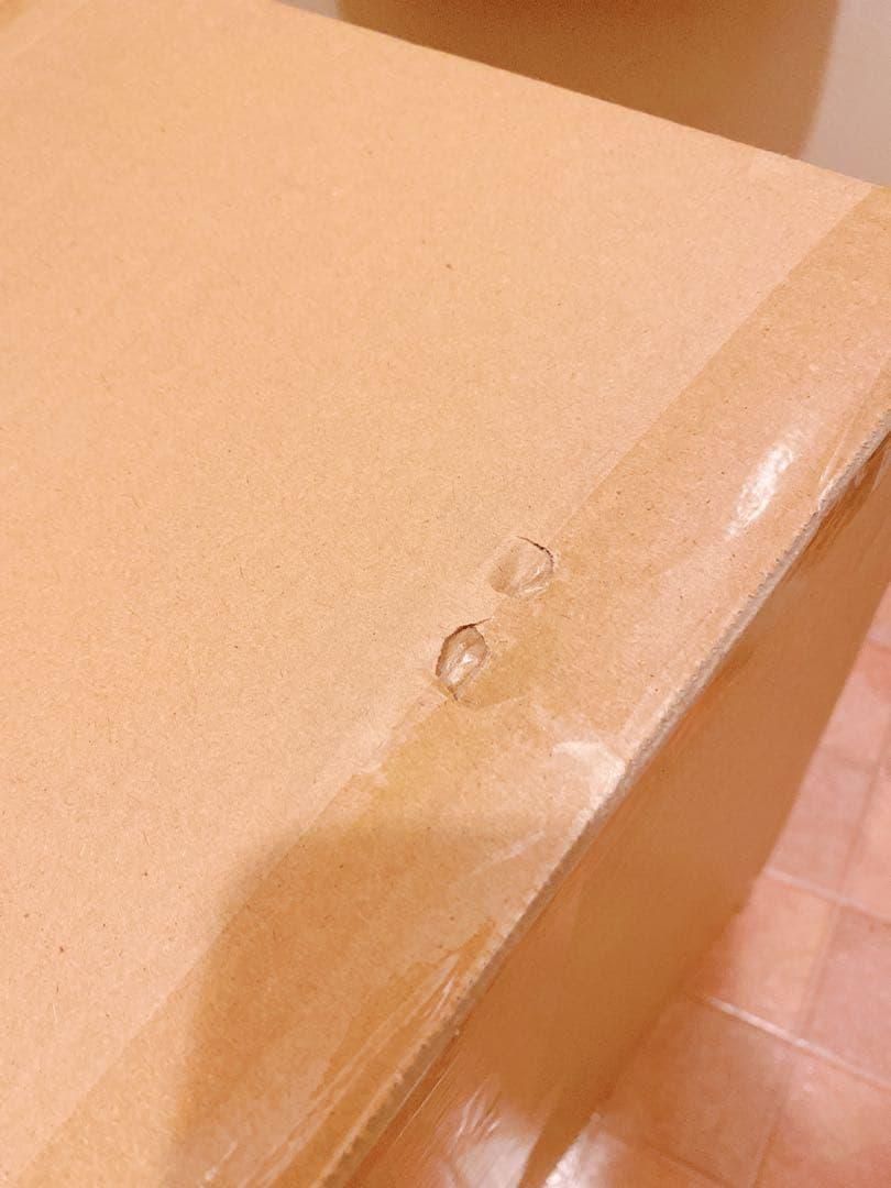 静音設計❣ マイナスイオン ドライヤーハウス 新作 ペット 犬 猫 1562