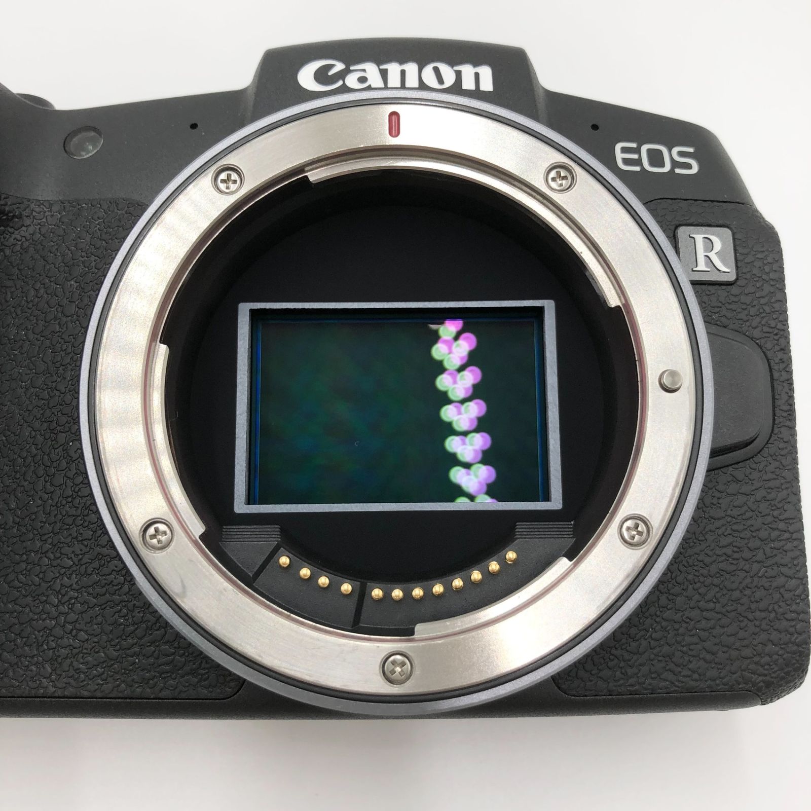 Canon ミラーレス一眼カメラ