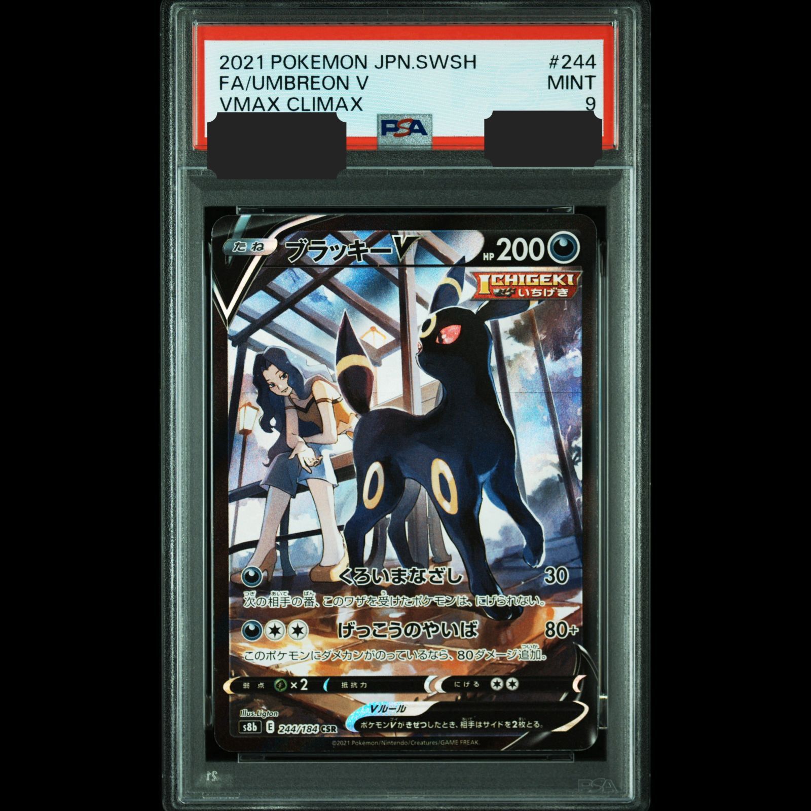 ブラッキーV csr PSA9 ポケモンカード ブラッキーV CSR S8b 244/184