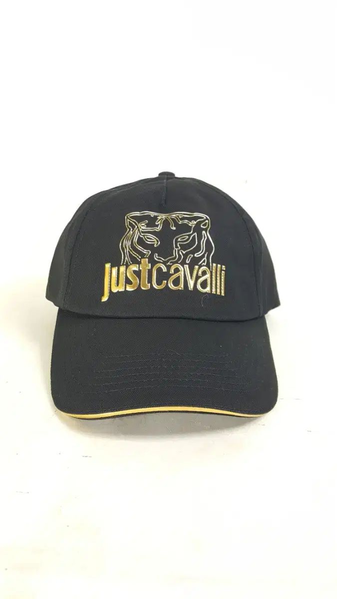 タイガー ベースボールキャップ