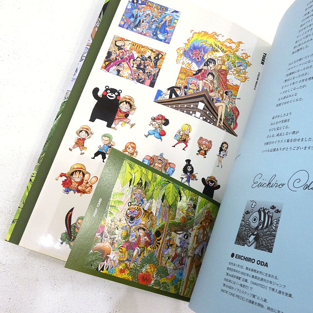 小牧店】ONEPIECEイラスト集 COLORWALK 1～10巻セット 尾田栄一郎画集