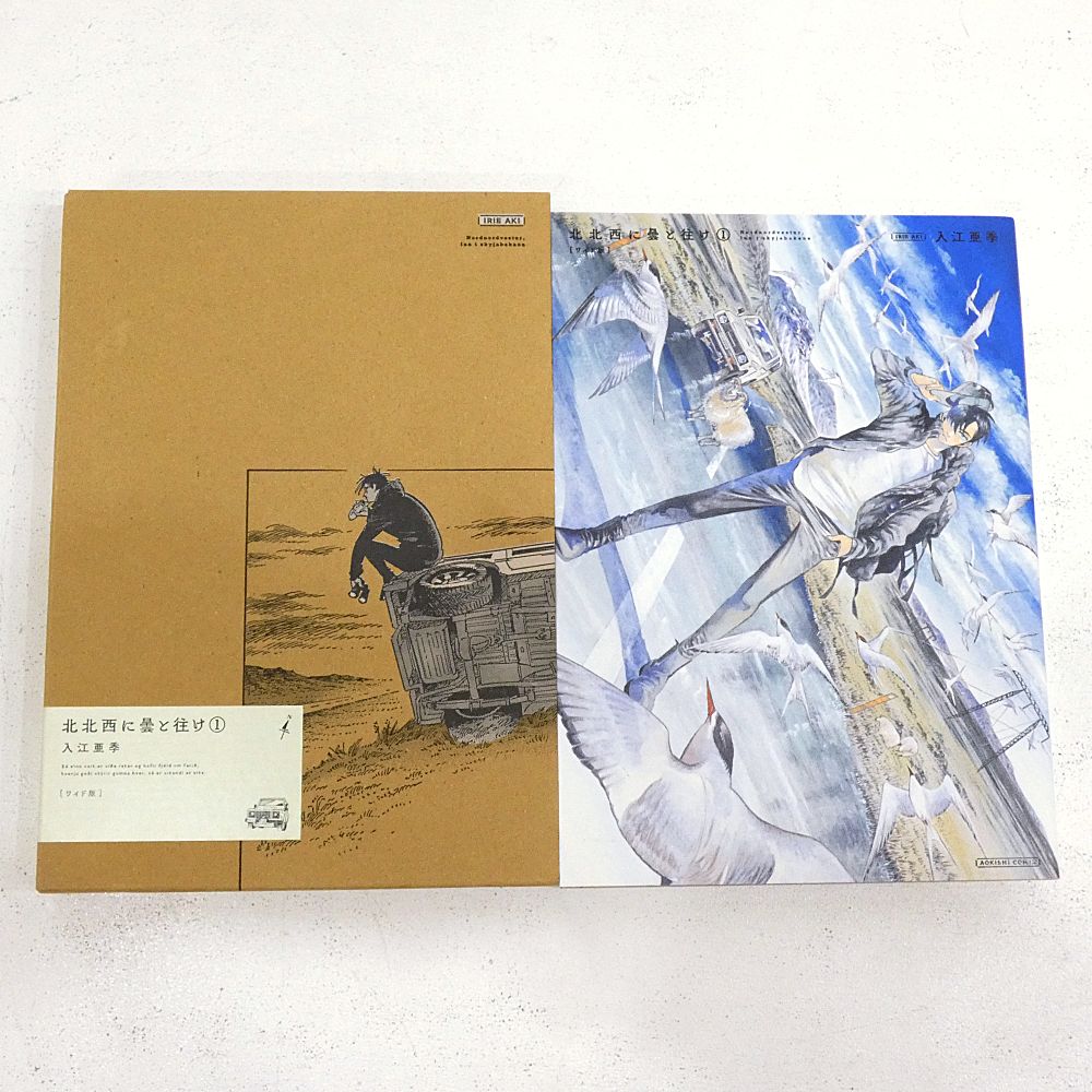 北北西に曇と往け