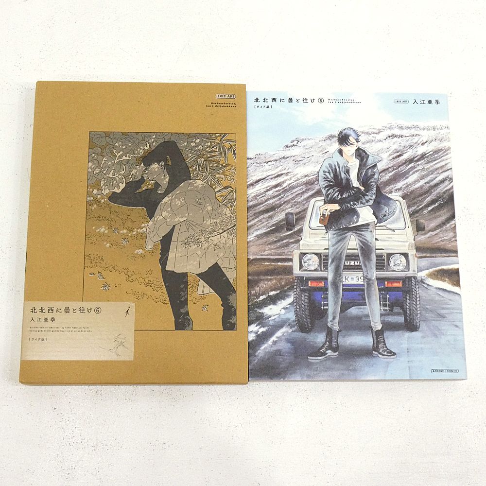 北北西に曇と往け ワイド版