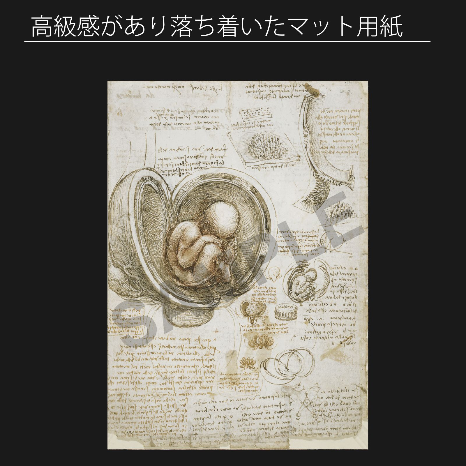レオナルド ダ ヴィンチ Leonardo da Vinci 子宮内の胎児の研究を示すページ 1510年頃 アートポスターA2 マット紙 フレーム付 IN