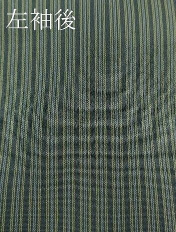 平和屋着物 上 男性 お召 単衣 縞 kh 5