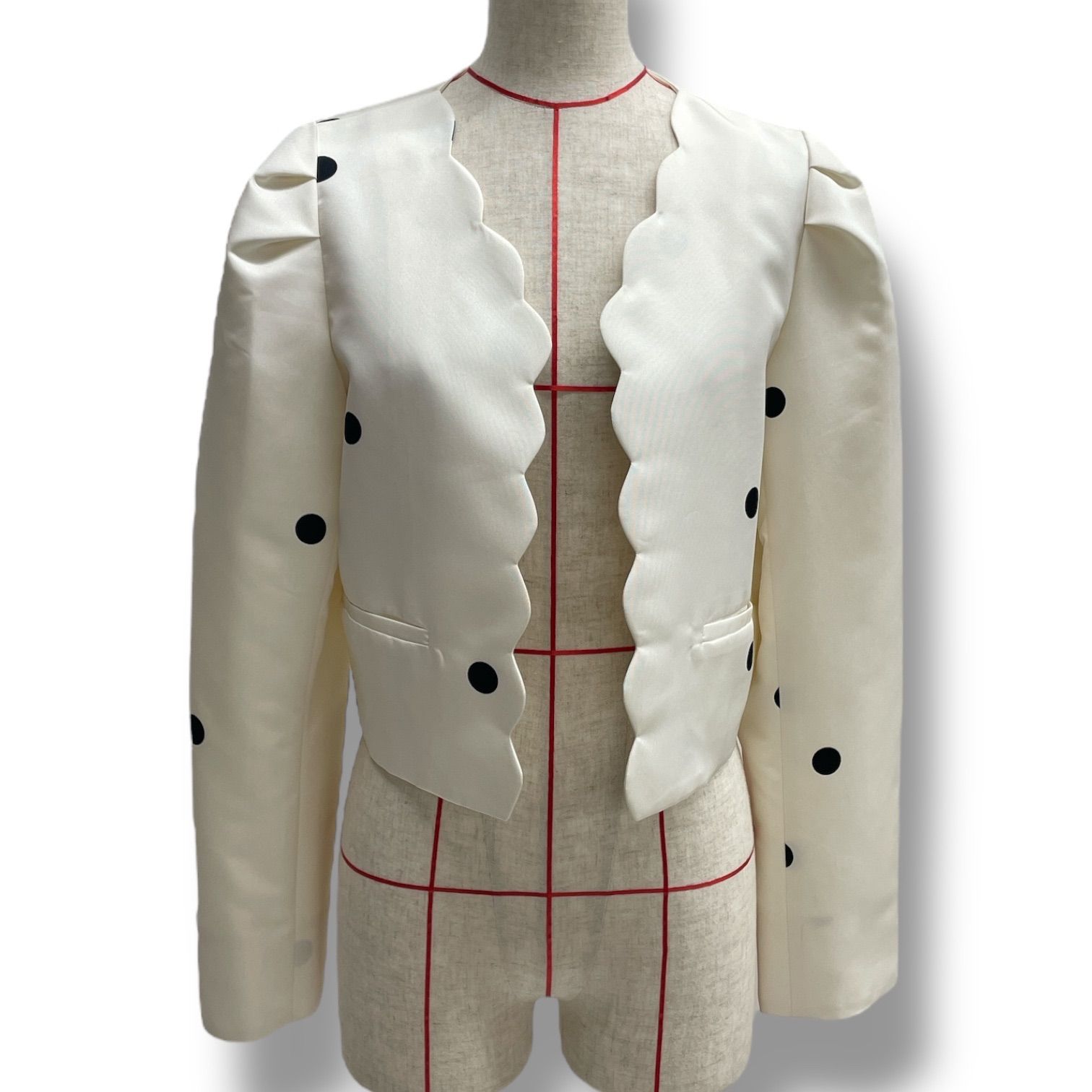 東進】『山川の分野別日本史 近現代史 須藤公博先生 第1回授業ノート』