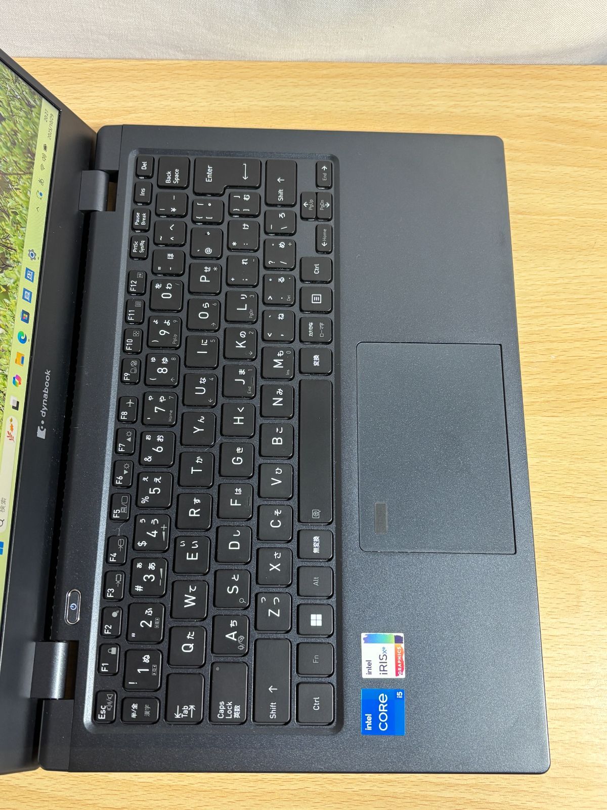 バレエ衣裳 オーガンジー黒、紫ダンフリ重ね 大人用159センチ ワイヤー入