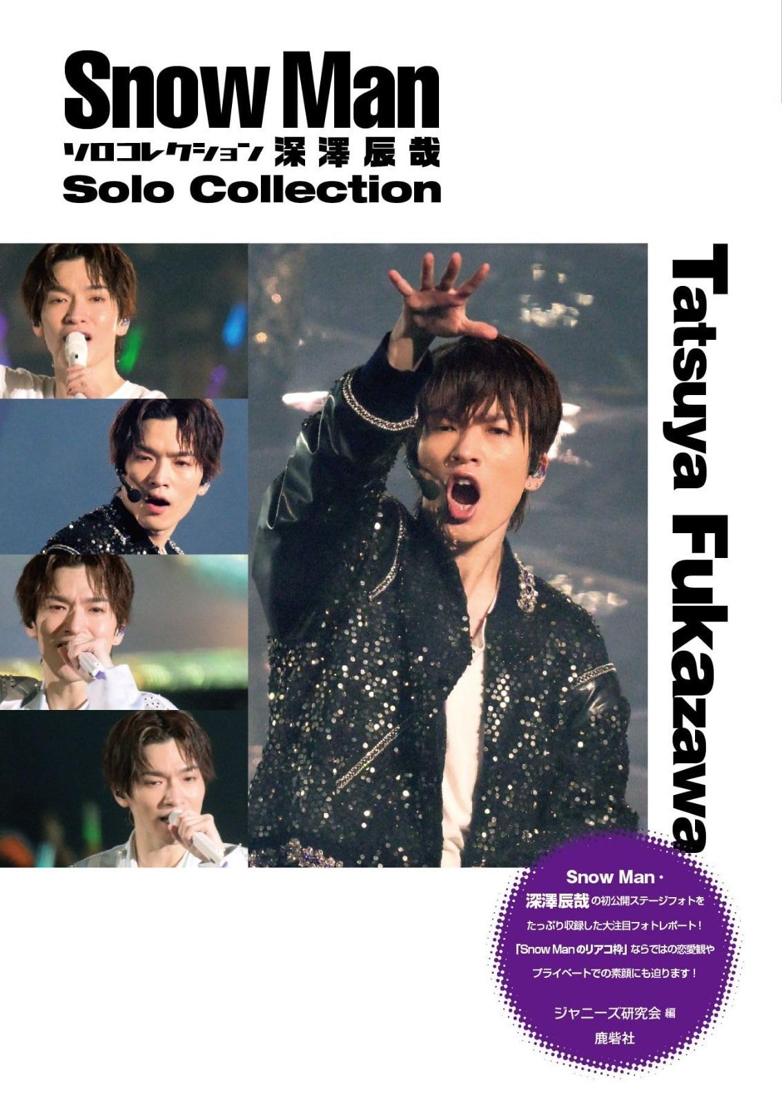 自然石風の植木鉢 特殊な山野草鉢 粋な鉢 高さ30㎝ No.45