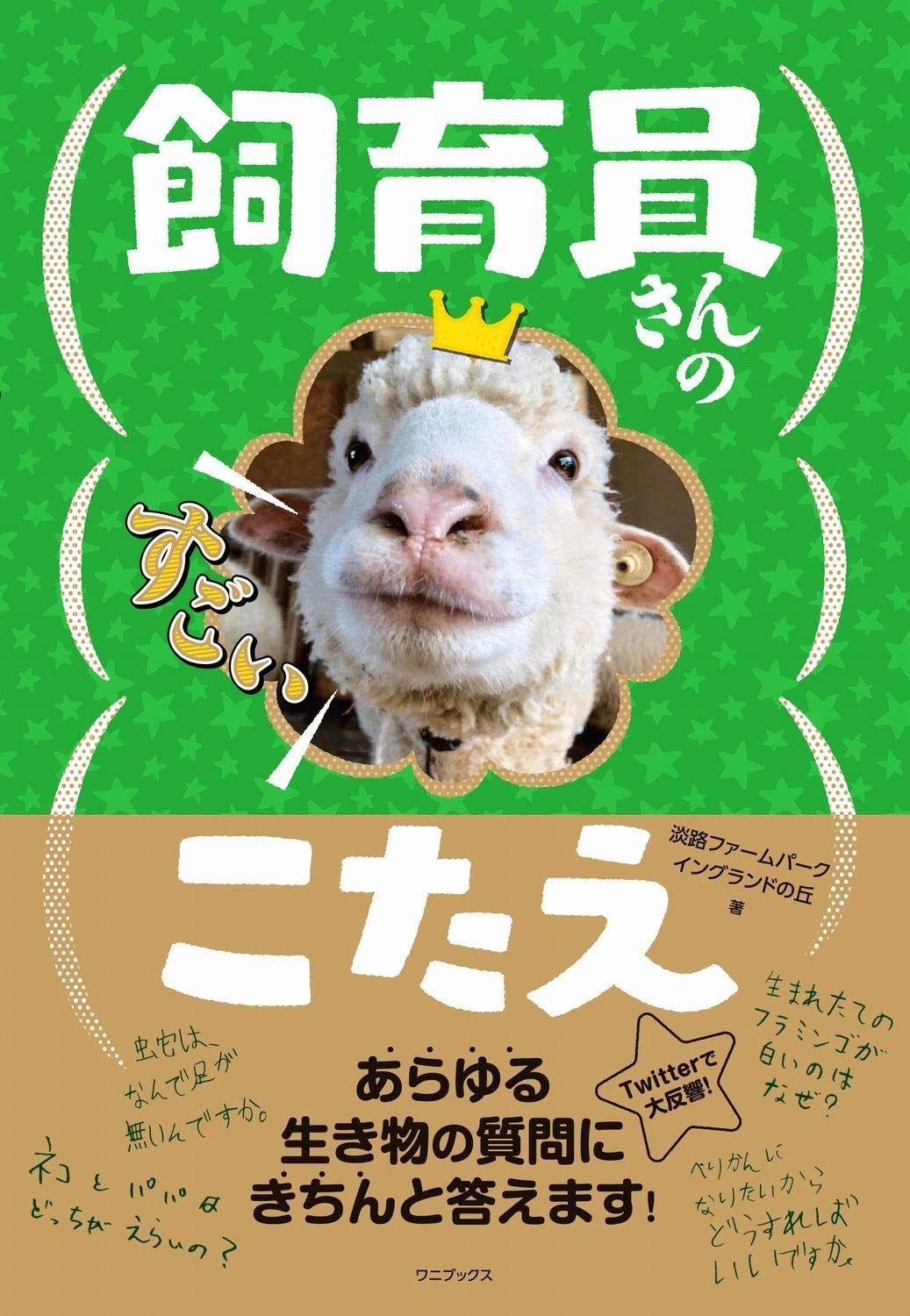 古伊万里 花に七宝紋 菊花四方襷紋に鳳凰の図 蕎麦猪口 E209AS-CXg