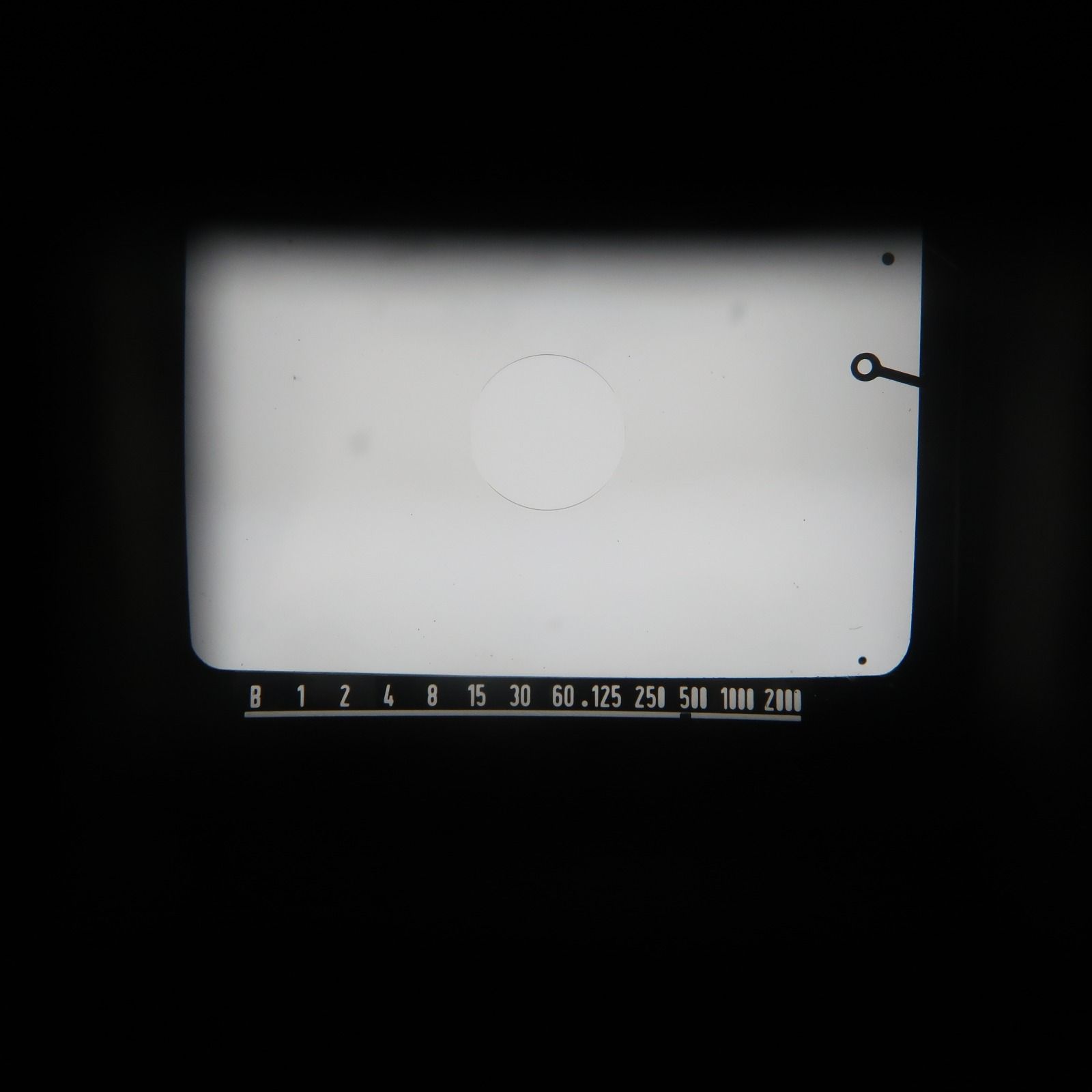 ライカ ライカフレックス