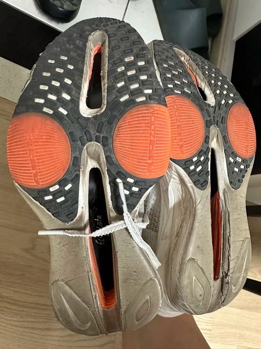 ブルー プリント