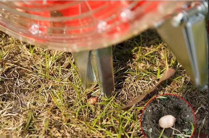 大好評 手動播種機 プランター トウモロコシ落花生大豆綿押し播種機 耐久性のあるステンレススチールハンドル 圧力ホイール付き12口10〜4個口に調整 WWW_GEBZETESISAT_COM_TR